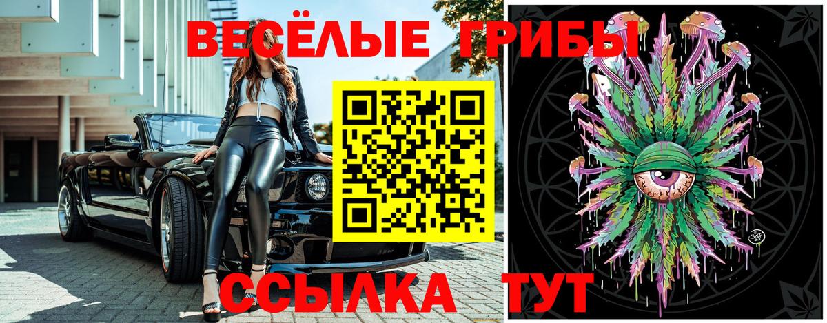 Псилоцибиновые грибы Cubensis  Псилоцибиновые грибы прущие грибы  Верхняя Салда 