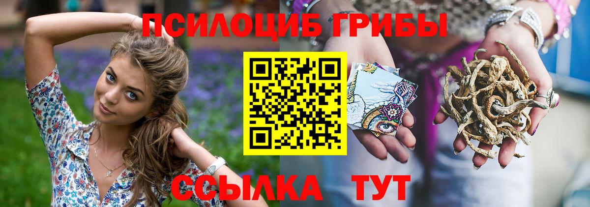 Галлюциногенные грибы Psilocybe  Вход с VPN  Верхняя Салда 
