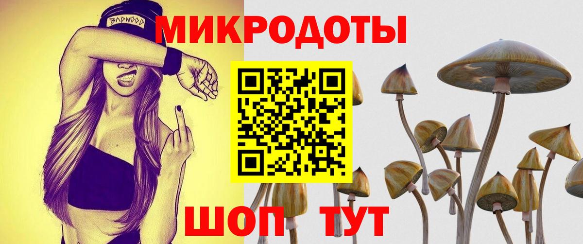 Псилоцибиновые грибы прущие грибы Верхняя Салда